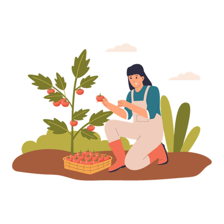 Mujer recogiendo fresas  Ilustración