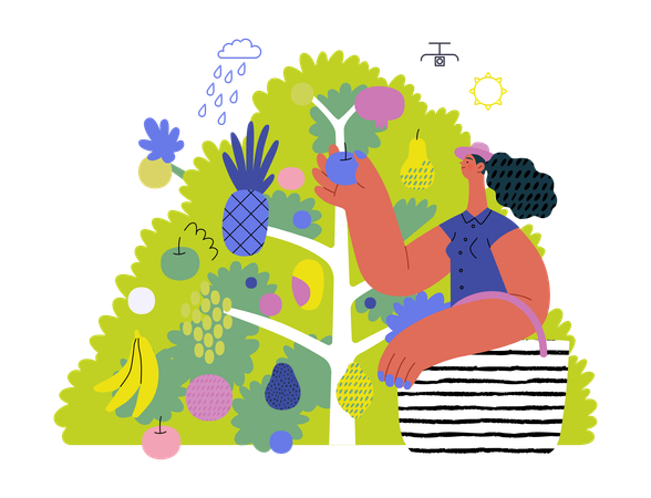 Mujer recogiendo fruta de un árbol frutal  Ilustración