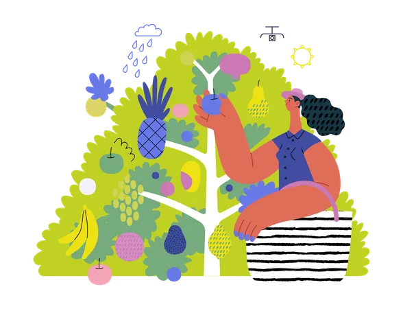 Mujer recogiendo fruta de un árbol frutal  Ilustración