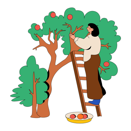 Mujer recogiendo manzanas en el huerto  Ilustración