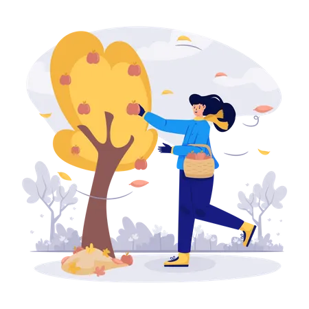 Mujer recogiendo manzanas en la temporada de otoño  Ilustración