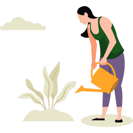 Mujer regando la planta  Ilustración