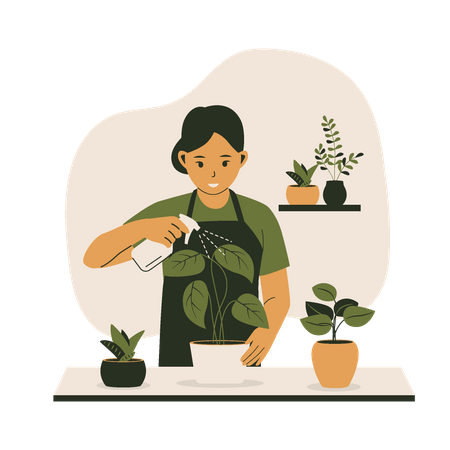 Mujer regando plantas en macetas  Ilustración