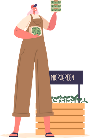 Mujer vende microgreens  Ilustración