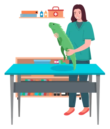Mujer veterinaria sosteniendo un lagarto grande  Ilustración