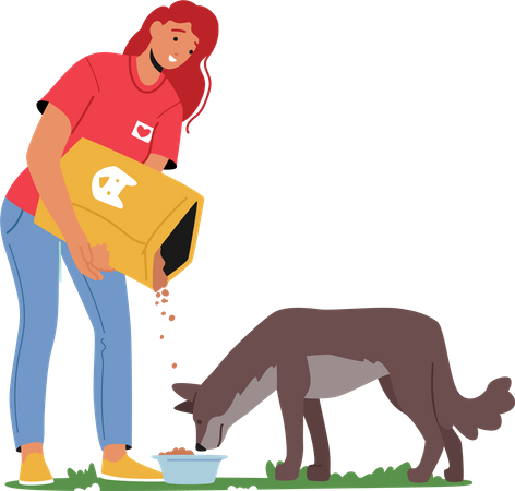 Voluntaria alimentando comida a un perro sin hogar  Ilustración
