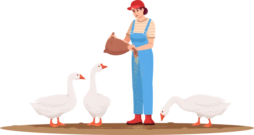 Mulher alimentando patos  Ilustração