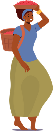 Mulher carrega grãos de café na cesta  Illustration