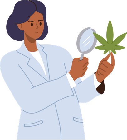 Médica cientista feminina estudando cannabis  Ilustração