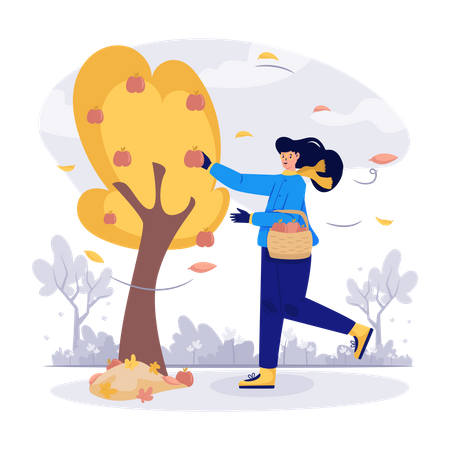 Mulher colhendo maçãs no outono  Ilustração
