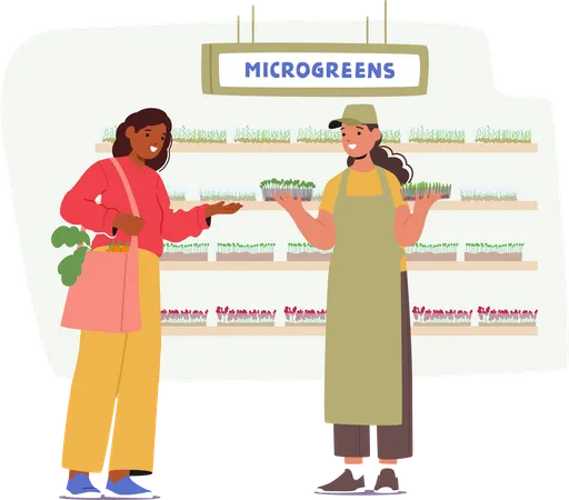 Personagem compradora seleciona cuidadosamente microgreens frescos da seção de produtos do supermercado  Ilustração