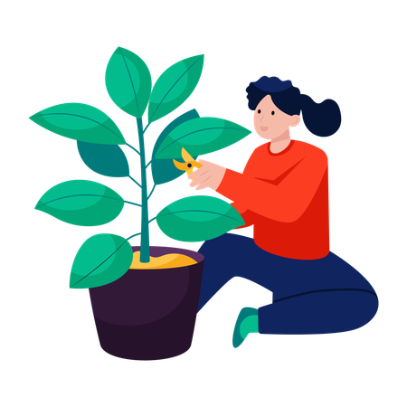 Planta de corte feminina  Ilustração