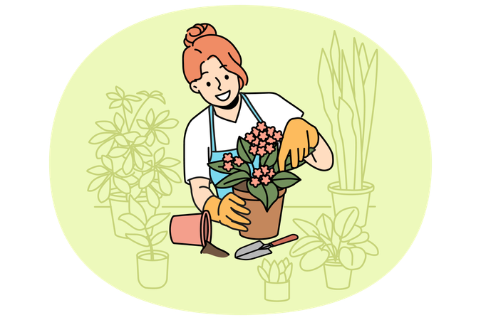Mulher florista cuida de plantas de casa e segura vaso de flores com violetas florescendo  Ilustração