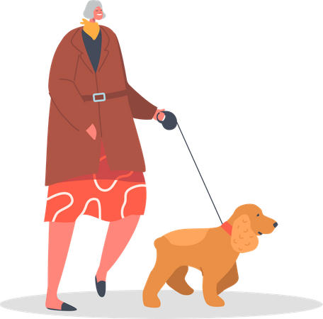 Mulher mais velha andando com cachorro de estimação  Ilustração