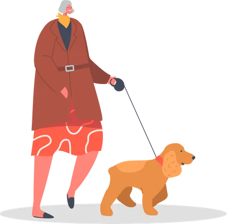 Mulher mais velha andando com cachorro de estimação  Ilustração