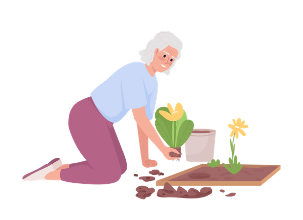 Mulher idosa plantando canteiros de flores no jardim  Ilustração