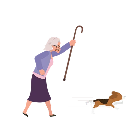 Mulher idosa irritada perseguindo com determinação seu cachorro enérgico  Ilustração