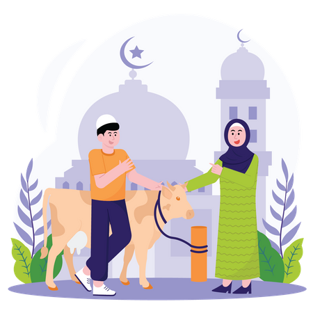Mulher muçulmana comprando uma vaca para Eid Al Adha  Ilustração