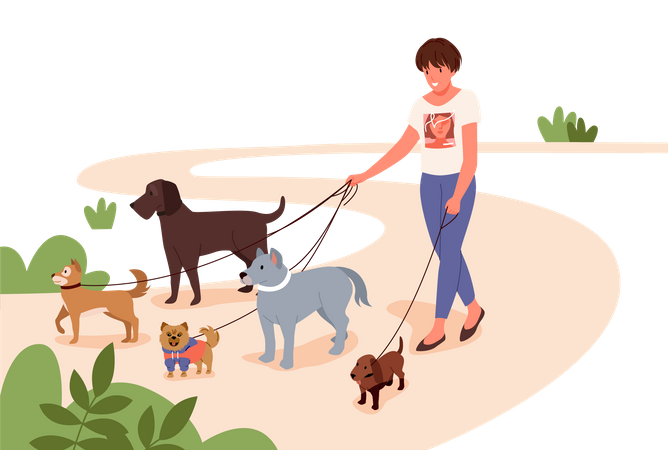 Mulher andando com animais de estimação no parque  Illustration