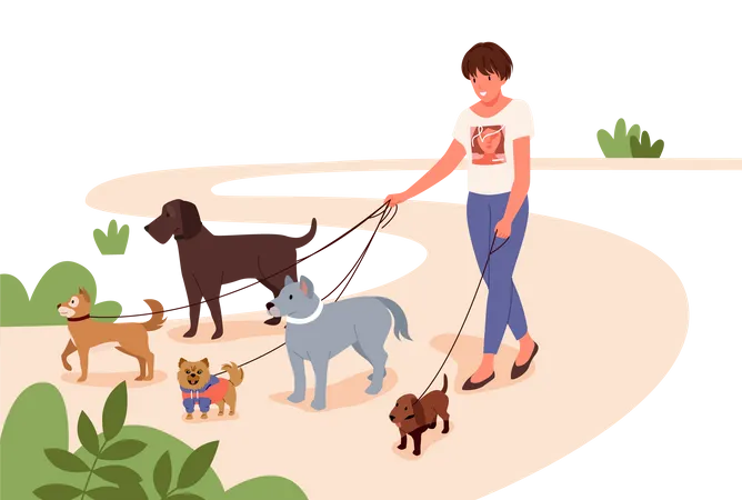 Mulher andando com animais de estimação no parque  Illustration