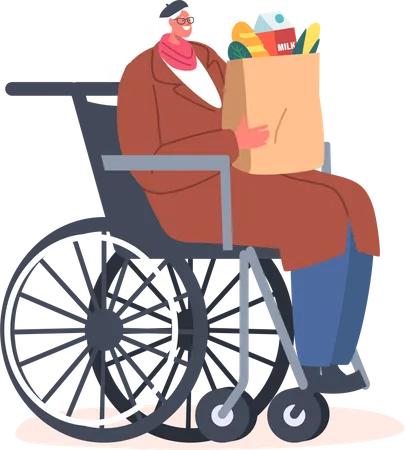 Mulher idosa com sacola de compras sentada em uma cadeira de rodas  Ilustração