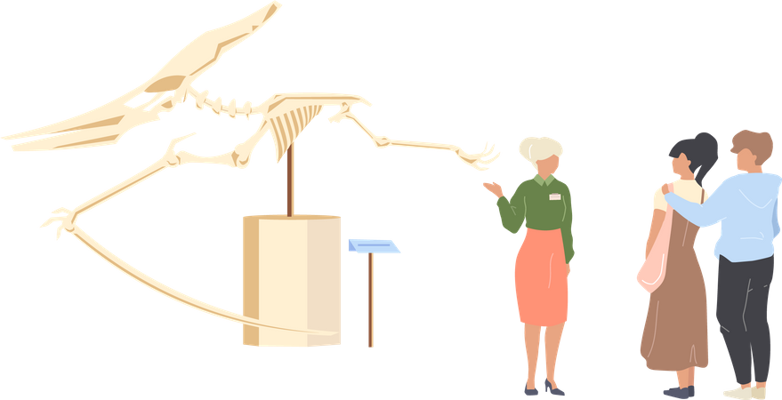 Turista del museo de paleontología  Ilustración