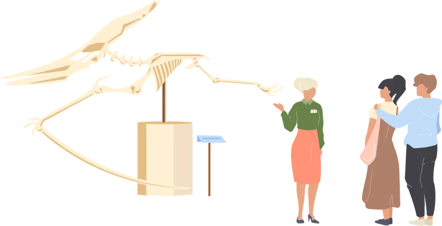 Turista del museo de paleontología  Ilustración