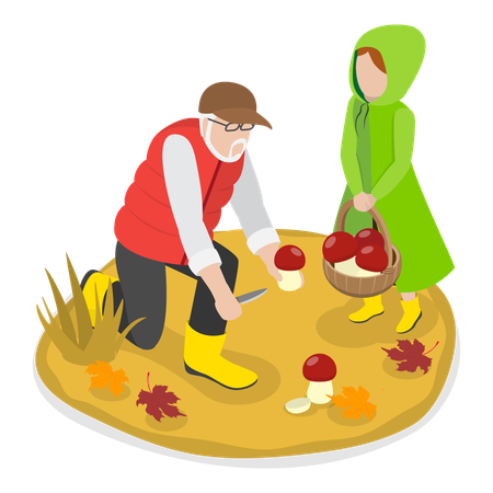 Mushroom Picking  Illustration