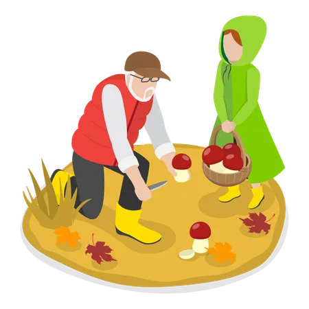 Mushroom Picking  Illustration