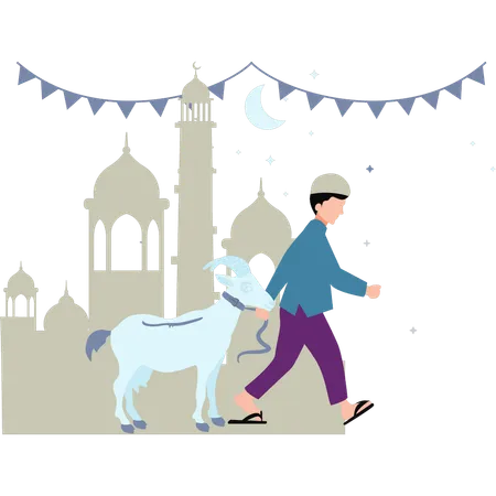 Muslim boy is carrying a goat  Illustration