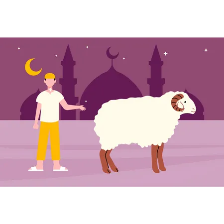 Muslim boy showing sheep  Illustration
