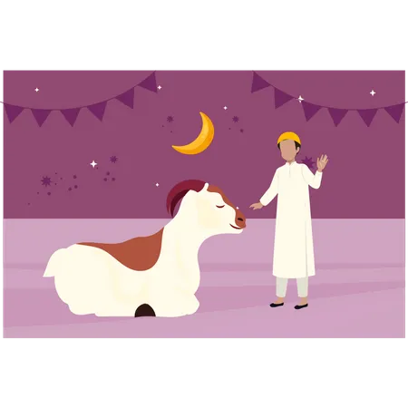 Muslim boy taking care of cow  Illustration