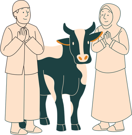 Muslim Couple With Cow For Eid Al Adha  Illustration
