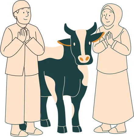 Muslim Couple With Cow For Eid Al Adha  Illustration