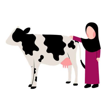 Muslim girl with Cow  Illustration