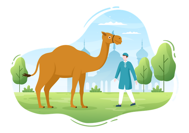 Muslim man with camel  Illustration