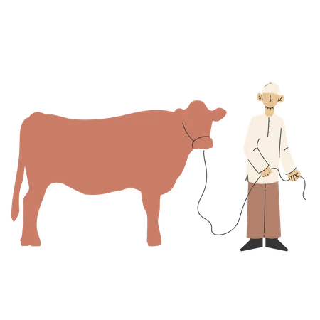Muslim man with cow  イラスト