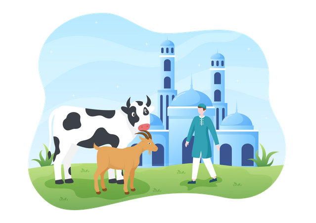 Muslim man with goat and cow Illustration