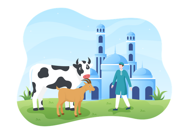 Muslim man with goat and cow  Illustration