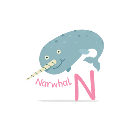 N for Narwhal  Illustration