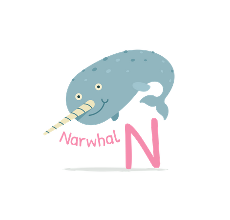 N for Narwhal  Illustration