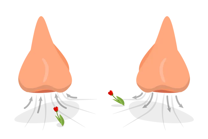 3 D Isometric Flat Vector Conceptual Illustration Of Nasal Breathing Exercise Nose Inhales And Exhales イラスト