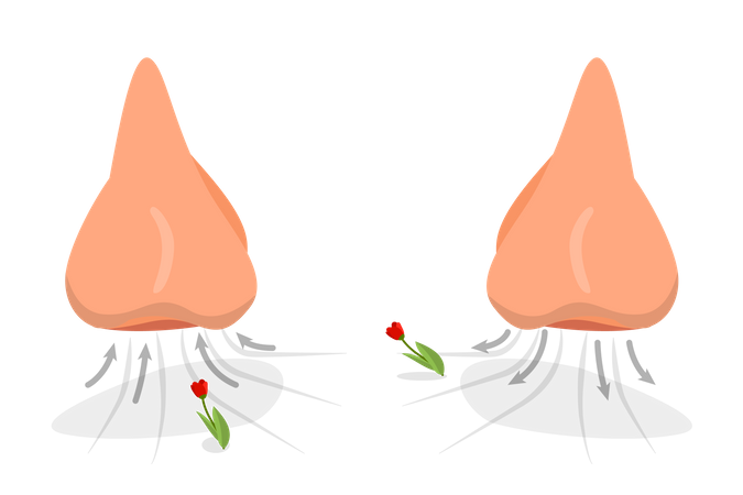 Nasal Breathing Exercise  Illustration