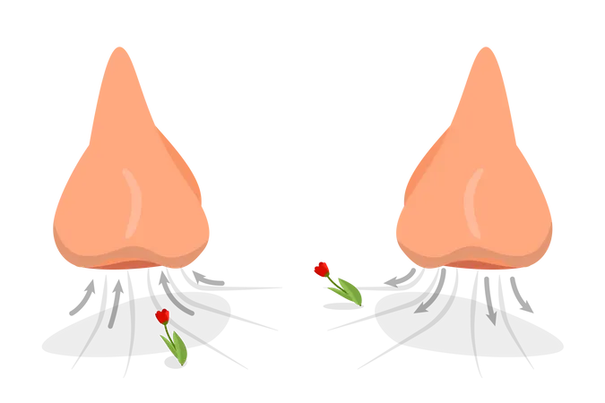 Nasal Breathing Exercise  Illustration