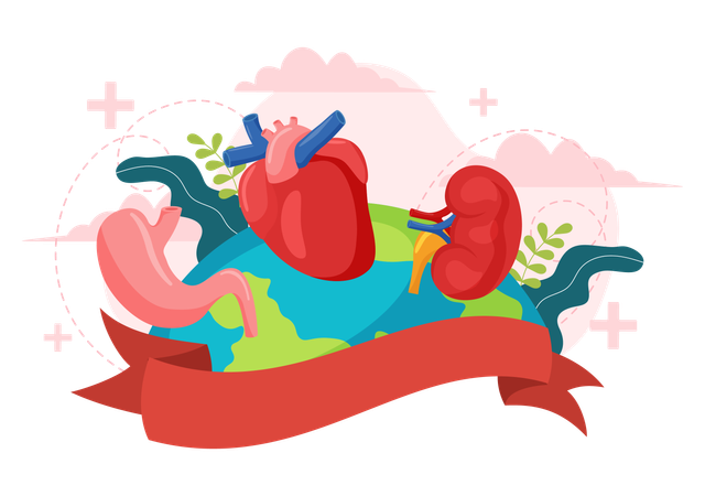 National Organ Donor Day  Illustration