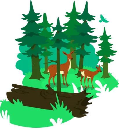 Nationalpark  Illustration