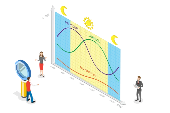 3 D Isometric Flat Vector Conceptual Illustration Of Circadian Rhythm Natural Cycle For Healthy Sleep And Routine Illustration