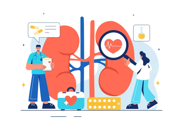 Nephrologist explaining about disease  Illustration