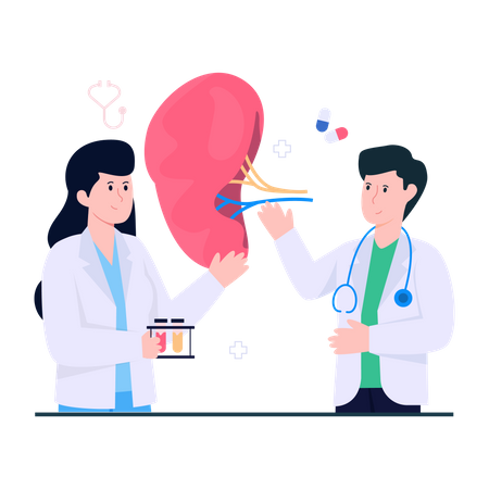 Nephrologist  Illustration