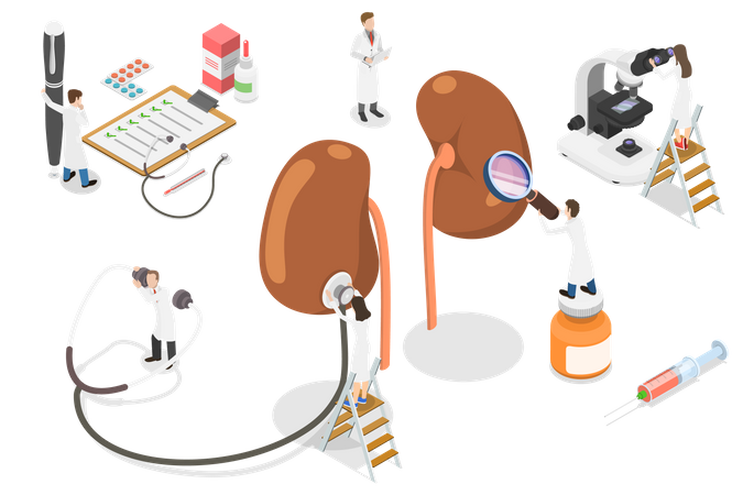 Nephrology clinical research Illustration